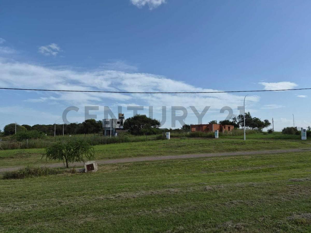 Foto de Propiedad 319170, imagen 5