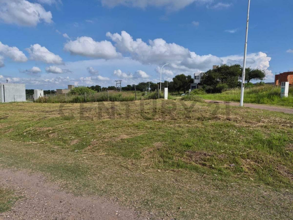 Foto de Propiedad 319170, imagen 2
