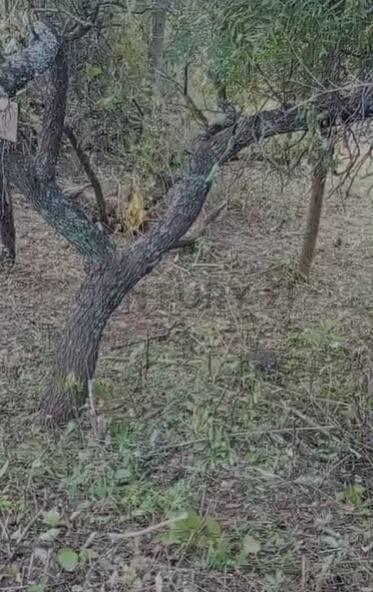 Foto de Lote 469 M2 en TERRAZAS DE RIO CEBALLOS, imagen 4