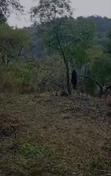 Foto de Lote 469 M2 en TERRAZAS DE RIO CEBALLOS, imagen 2