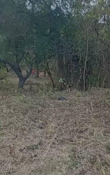 Foto de Lote 469 M2 en TERRAZAS DE RIO CEBALLOS, imagen 1