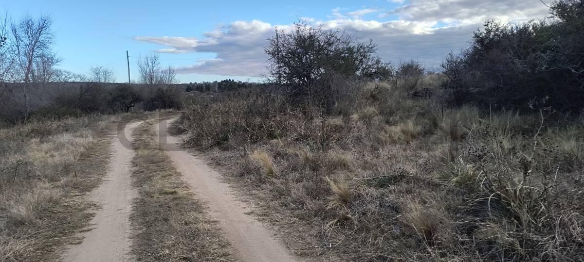 Foto de EXCELENTE FRACCIÓN DE 7.461 m² EN MIRADOR DEL LAGO – BIALET MASSÉ, imagen 4