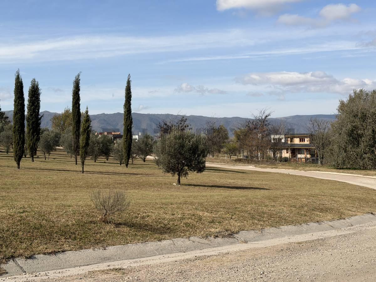 Foto de CATEGORIA Lote Country ALTOS DEL CORRAL - LOS REARTES - CORDOBA, imagen 5