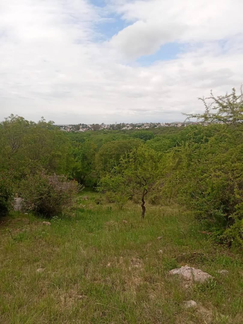 Foto de EXCELENTE Lote de 1031,51 m2 en COMARCA SERRANA TIERRA ALTA ubicado en, imagen 3