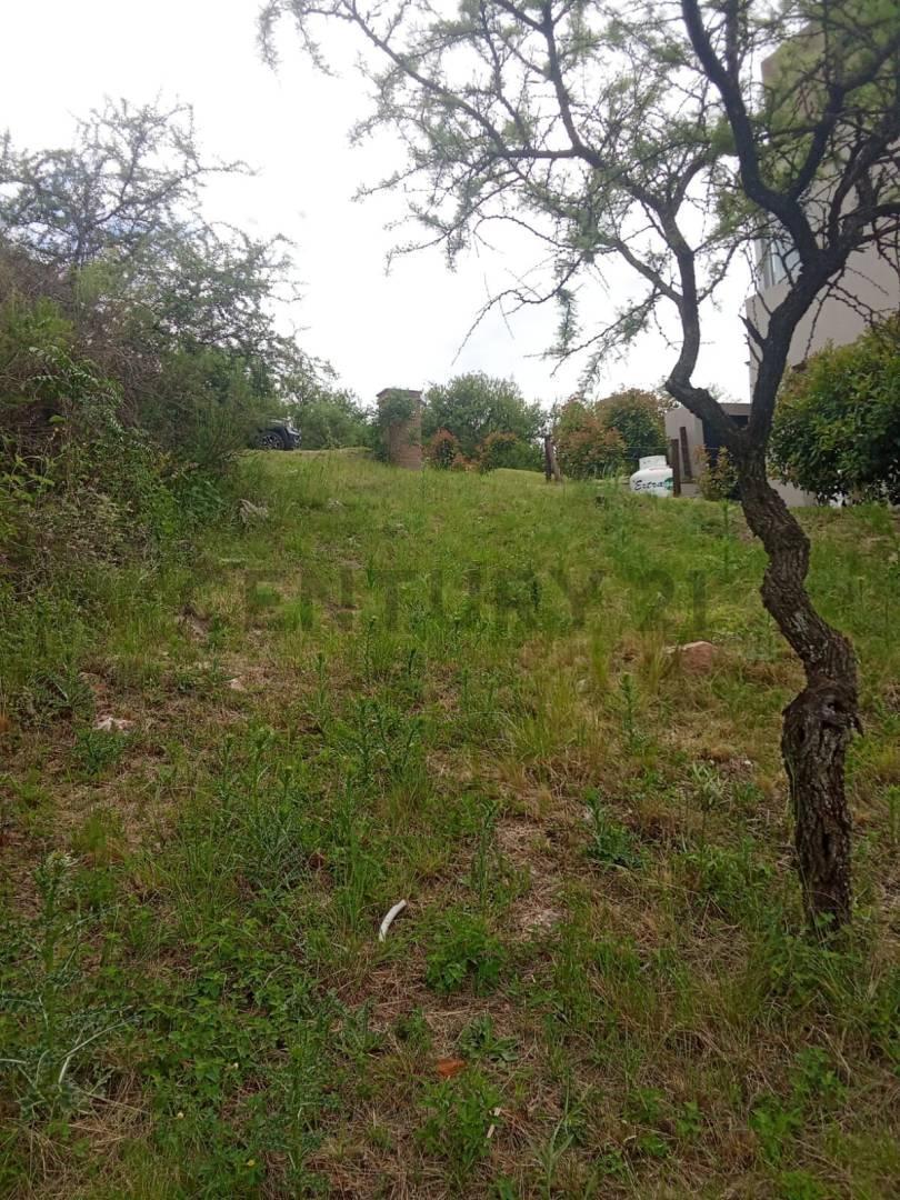 Foto de EXCELENTE Lote de 1031,51 m2 en COMARCA SERRANA TIERRA ALTA ubicado en, imagen 4