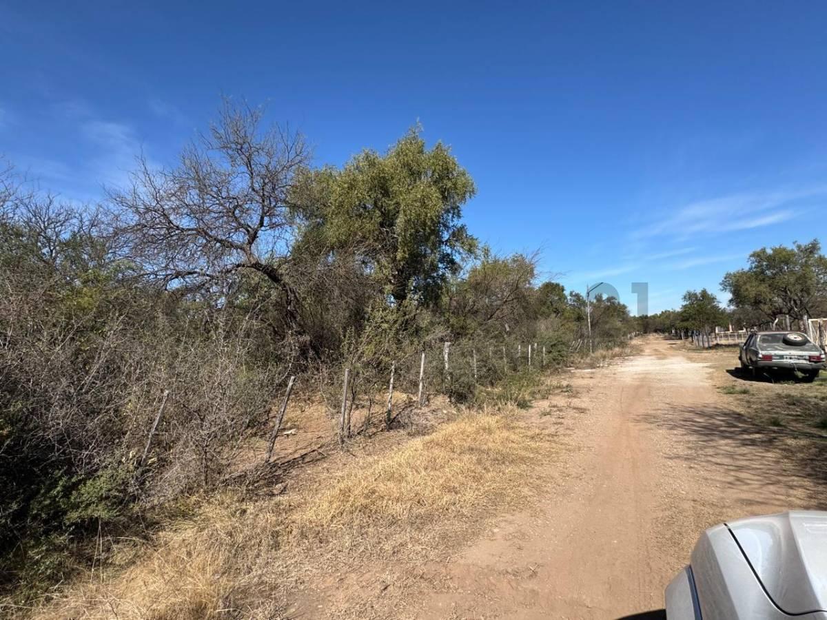 Foto de CAMPO DE 3,8 ha EN VENTA – QUEBRACHO LADEADO, CÓRDOBA- IDEAL, imagen 5