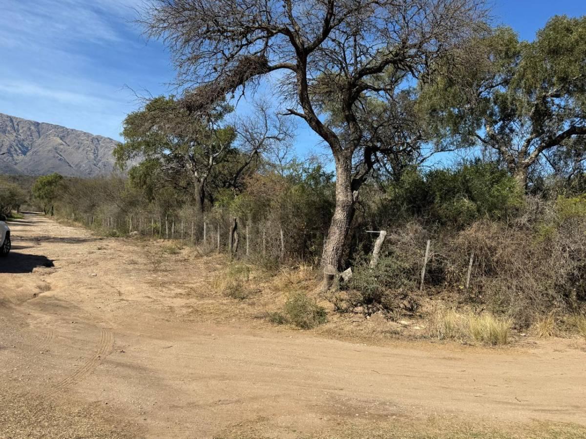Foto de CAMPO DE 3,8 ha EN VENTA – QUEBRACHO LADEADO, CÓRDOBA- IDEAL, imagen 2