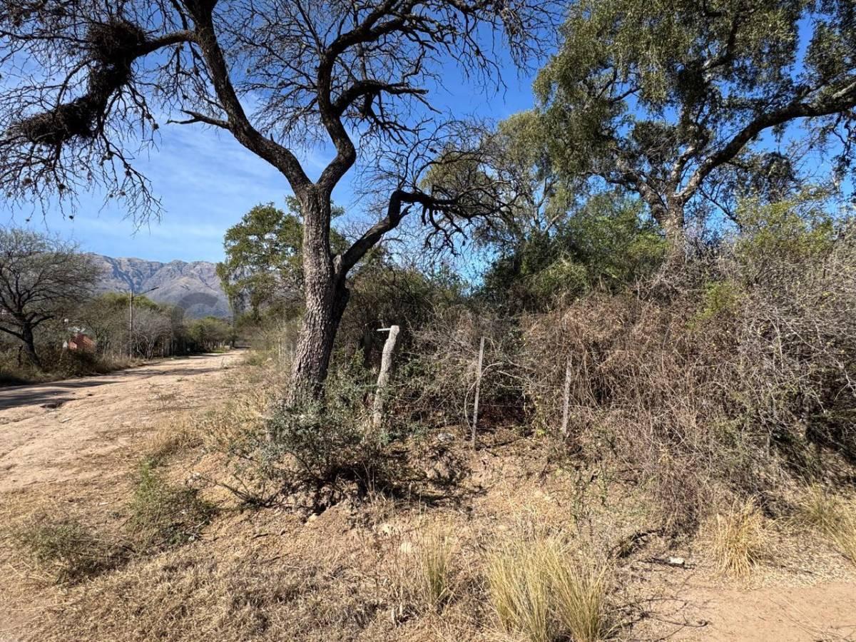 Foto de CAMPO DE 3,8 ha EN VENTA – QUEBRACHO LADEADO, CÓRDOBA- IDEAL, imagen 1