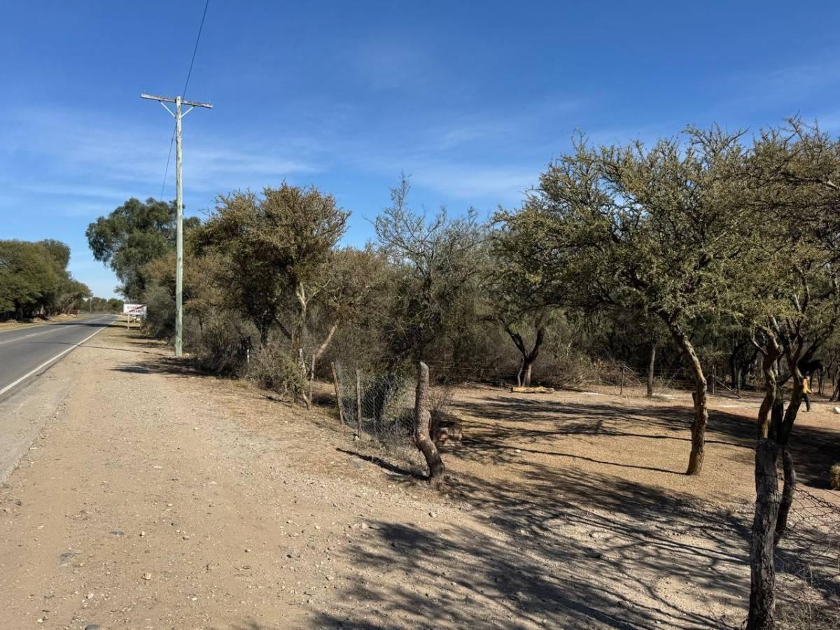 Foto de CAMPO DE 3,8 ha EN VENTA – QUEBRACHO LADEADO, CÓRDOBA- IDEAL, imagen 3