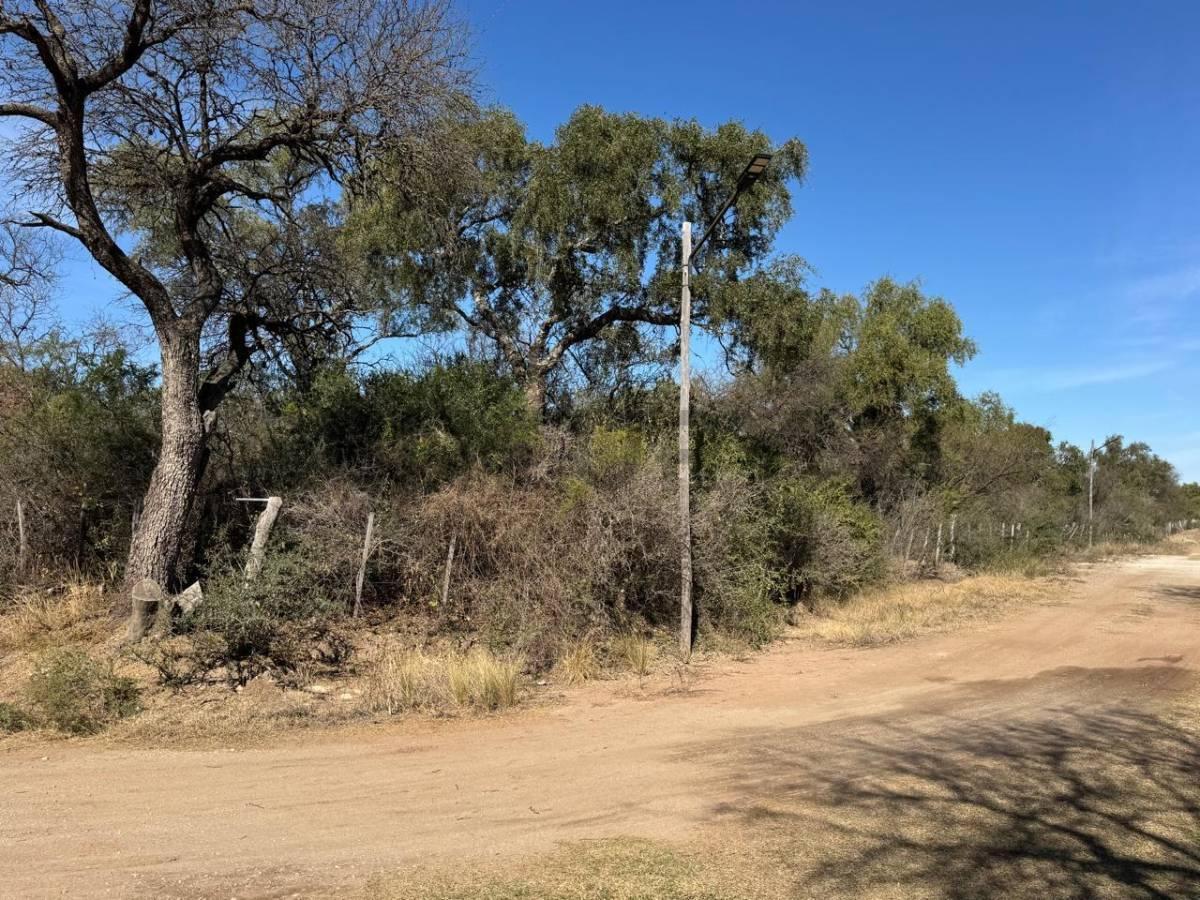 Foto de CAMPO DE 3,8 ha EN VENTA – QUEBRACHO LADEADO, CÓRDOBA- IDEAL, imagen 4