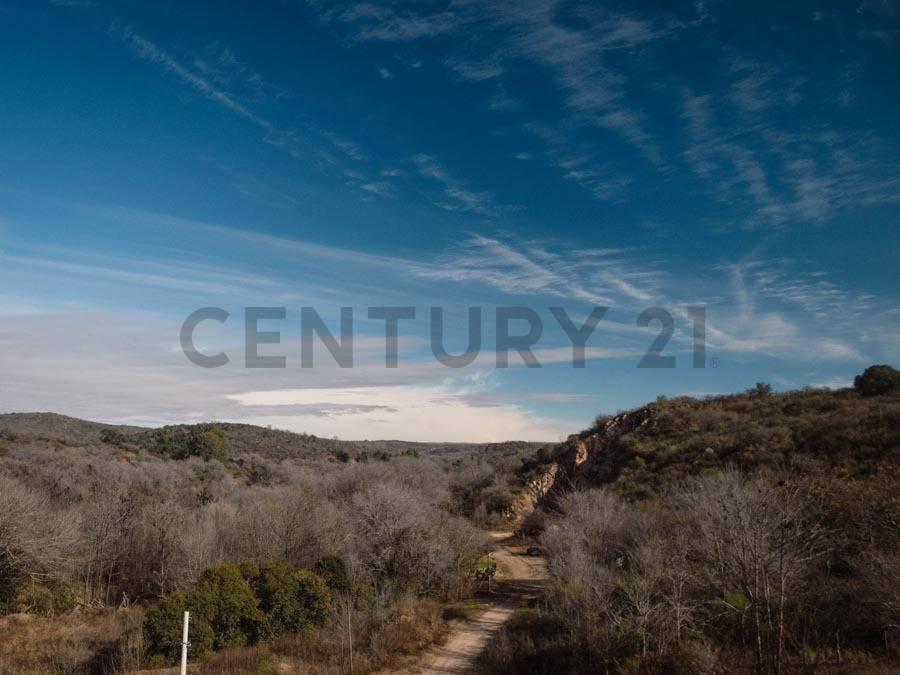 Foto de EXCEPCIONAL TERRENO DE 18.656 m² SOBRE AUTOVÍA PUNILLA – APTO ESTACIÓN, imagen 3