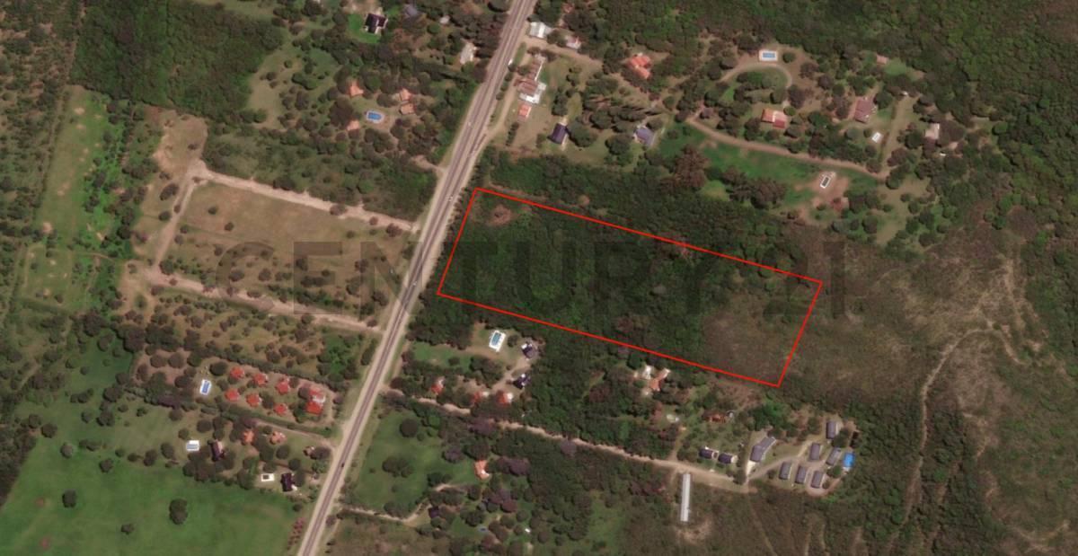 Foto de OPORTUNIDAD 4 hectáreas Frente Ruta 5 en Villa Gral Belgrano, imagen 1