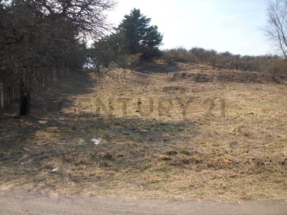 Foto de Gran lote de 1050 m2 en OPORTUNIDAD en Rumipal, imagen 5