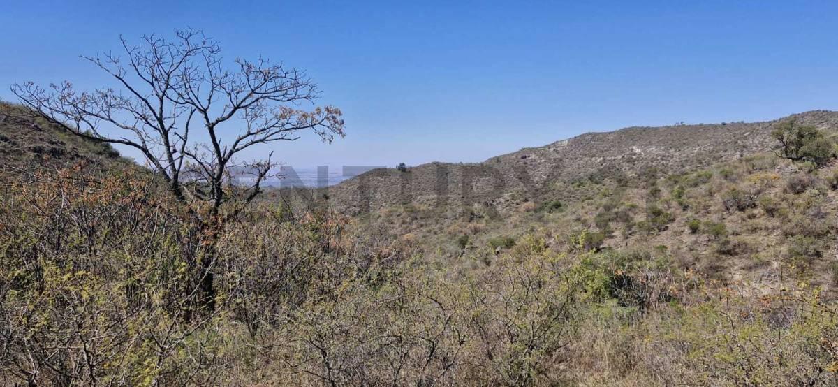 Foto de OPORTUNIDAD CAMPO DE 220,64 HECTAREAS en Alta Gracia - USD 1345 x ha, imagen 5