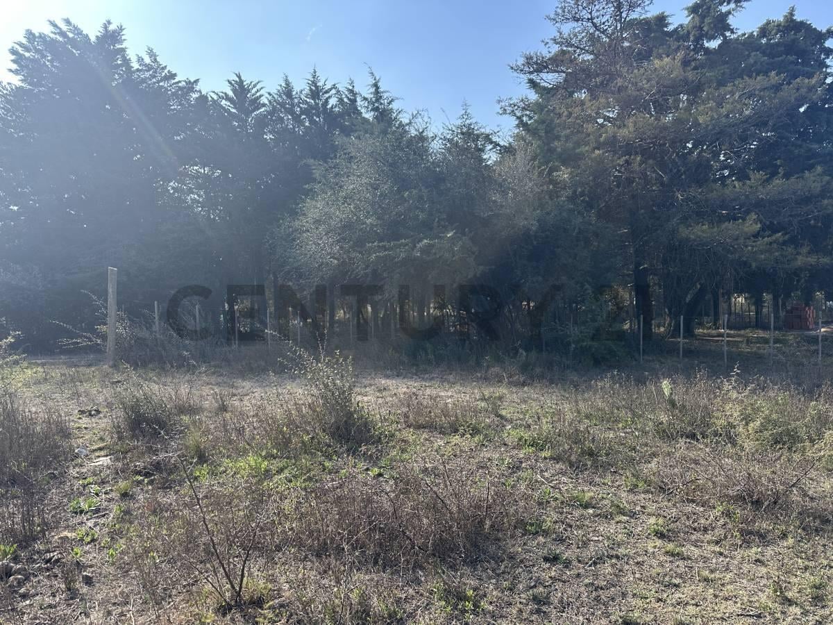 Foto de GRAN OPORTUNIDAD Lotes de 1500 m2 en LA CUMBRE a metros del LA CUMBRE, imagen 5