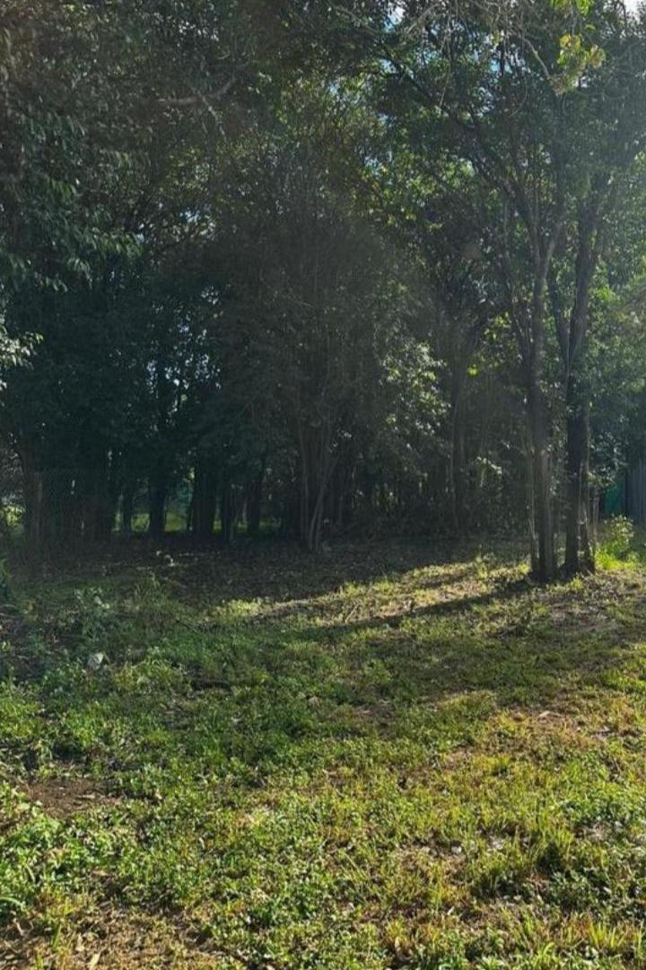 Foto de LOTE EN ESQUINA DE 300 M2 EN LA CATALINA RIO CEBALLOS, imagen 3