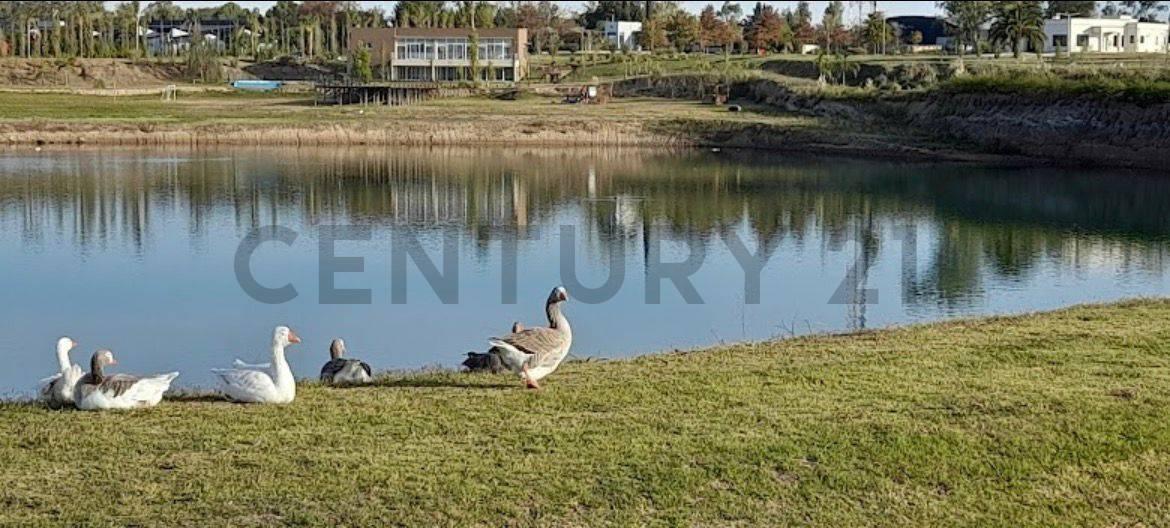 Foto de VENTA LOTE BARRIO LOS JUNCOS-LUJAN, imagen 3