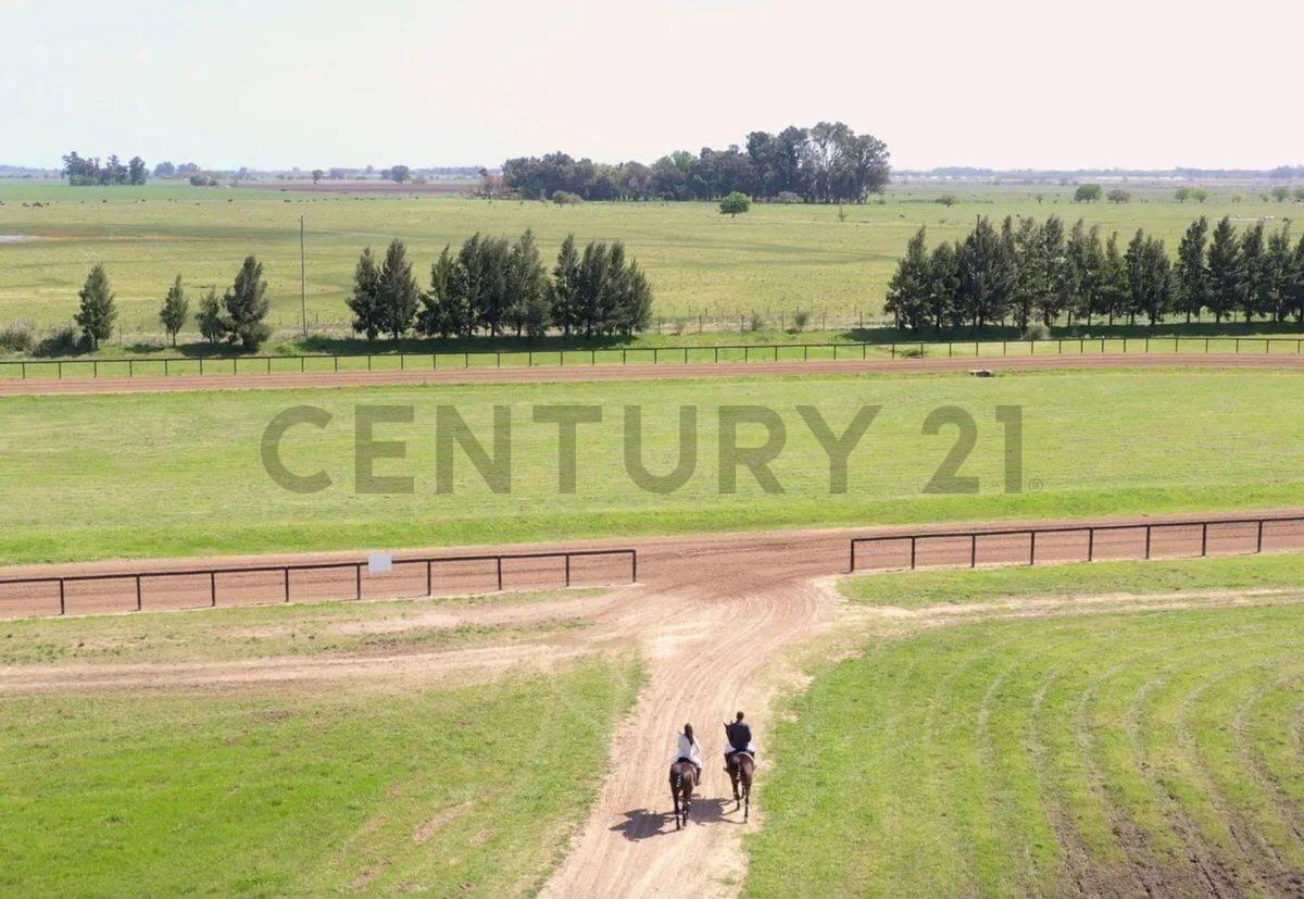 Foto de VENTA LOTE 1 HA EN CHACRAS DE LA TRINIDAD POLO & COUNTRY CLUB, imagen 3