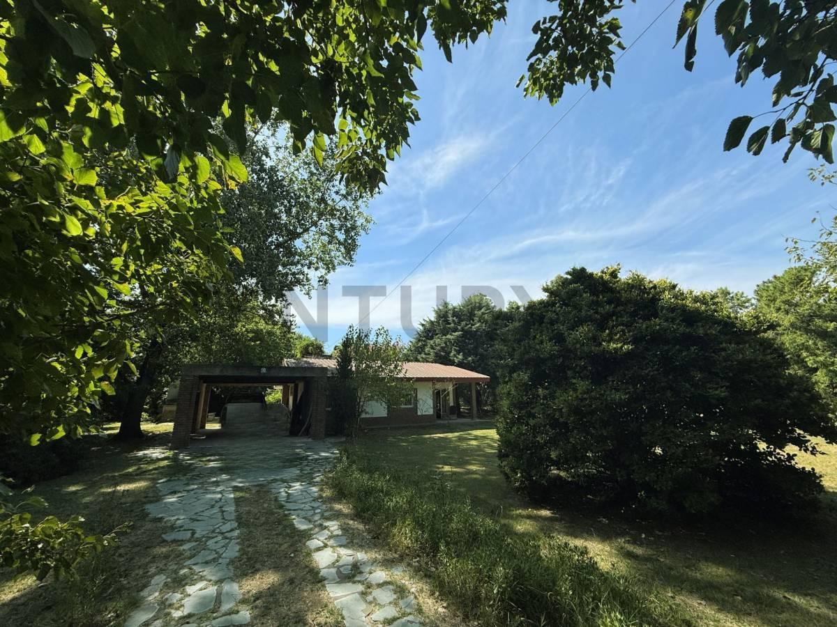 Foto de VENTA FINANCIACIÓN DIRECTA CASA QUINTA 6547m2 PILETA 10x5 - 4 amb, imagen 5