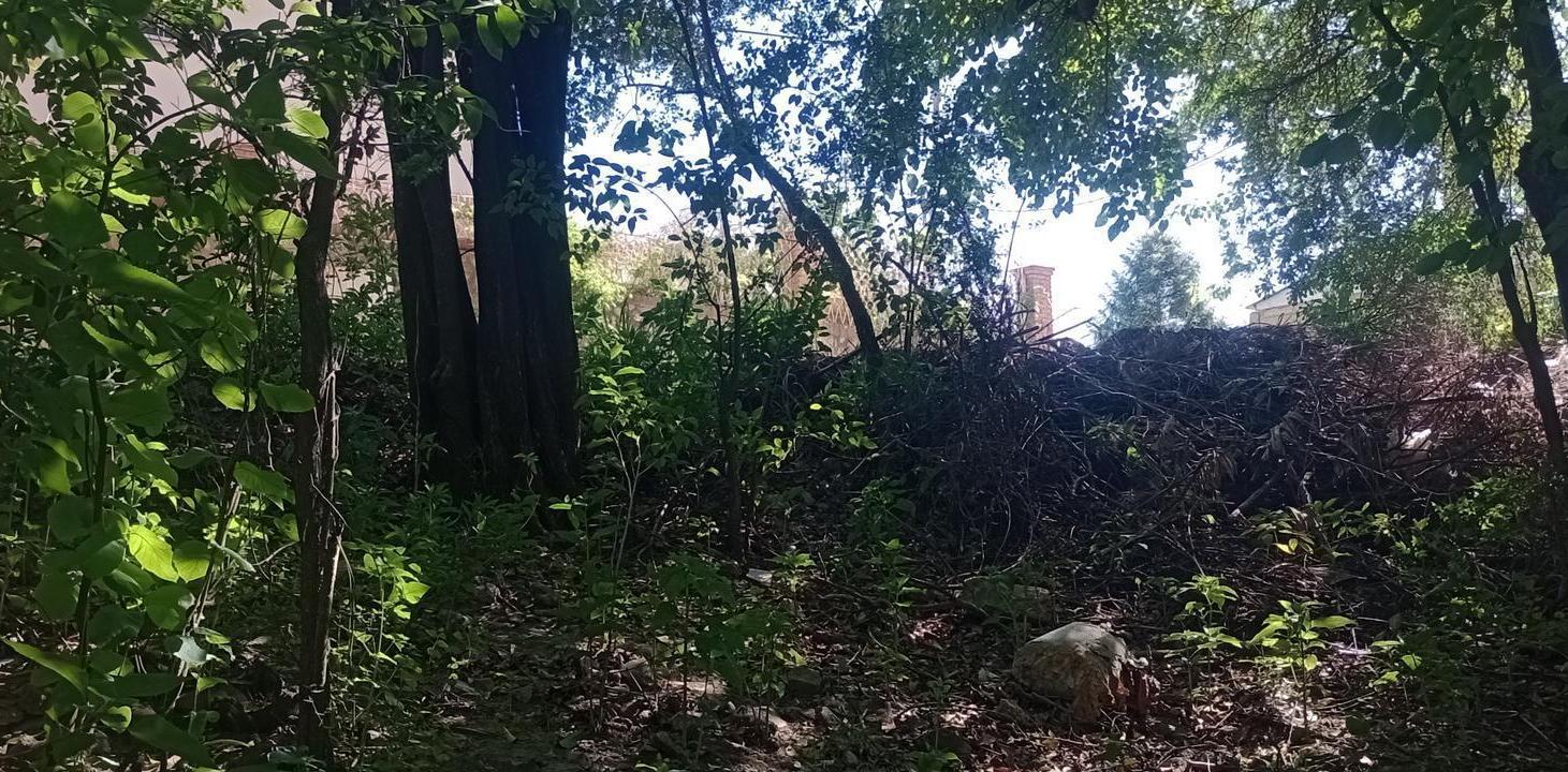 Foto de Terreno en Rio Ceballos, imagen 5