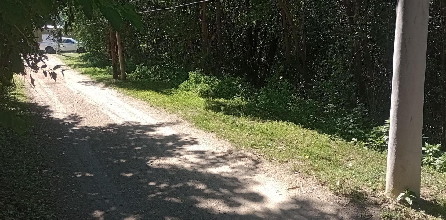 Foto de Terreno en Rio Ceballos, imagen 1