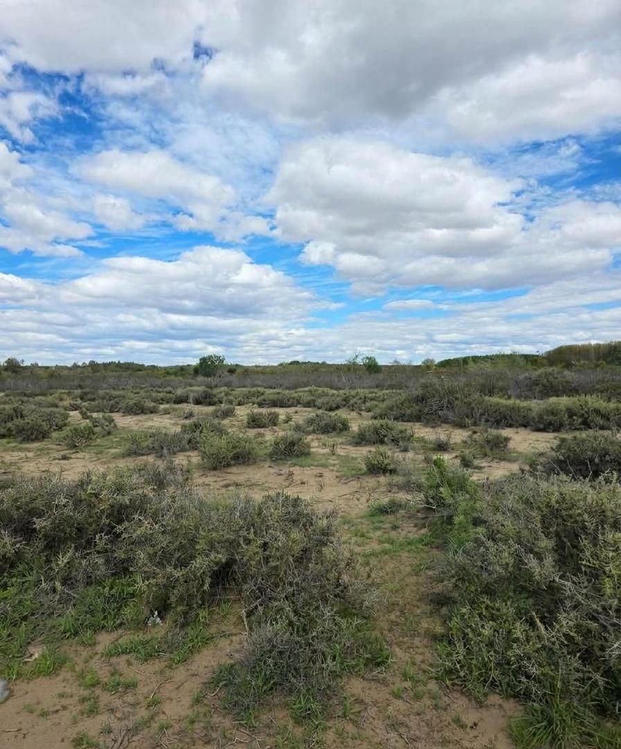 Foto de VENTA DE TERRENO, imagen 1