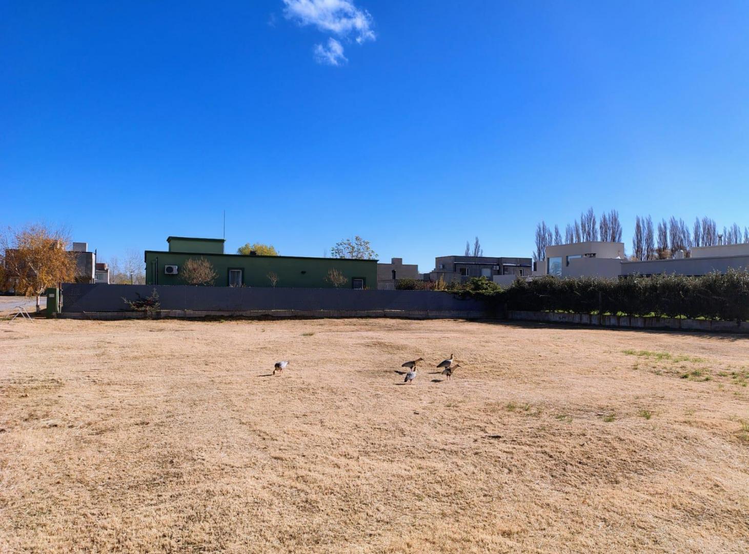 Foto de TERRENO EN VENTA, NEUQUEN, imagen 5