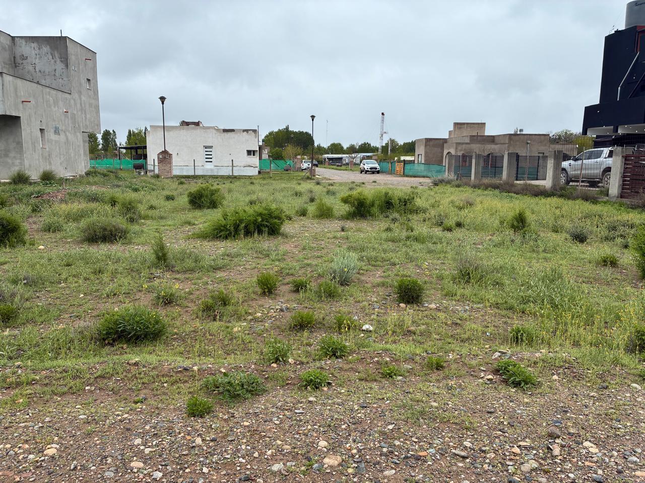 Foto de LOTE EN VENTA EN LAS CATALPAS, NEUQUEN., imagen 5