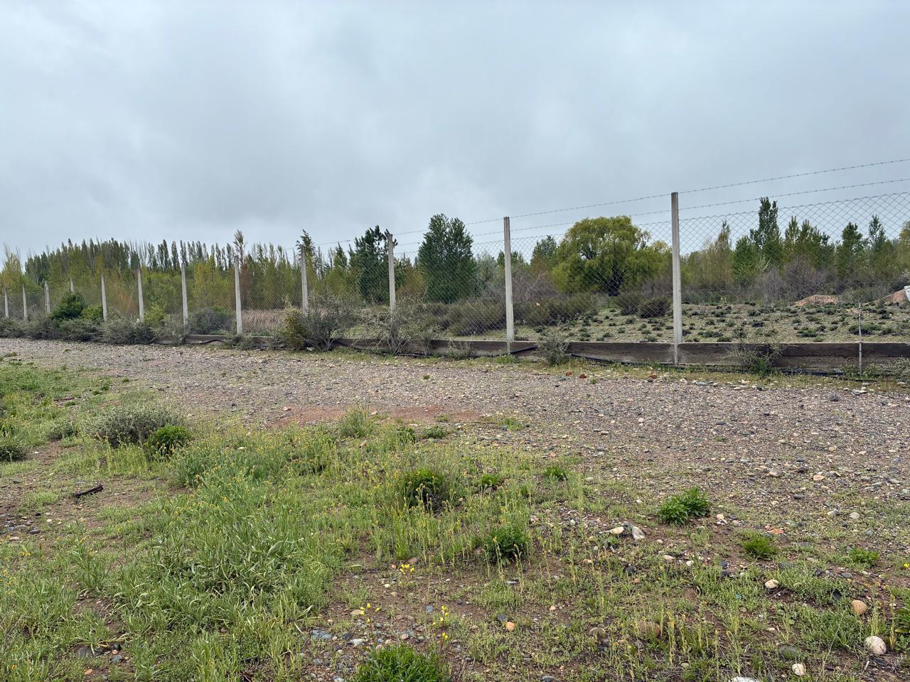 Foto de LOTE EN VENTA EN LAS CATALPAS, NEUQUEN., imagen 4