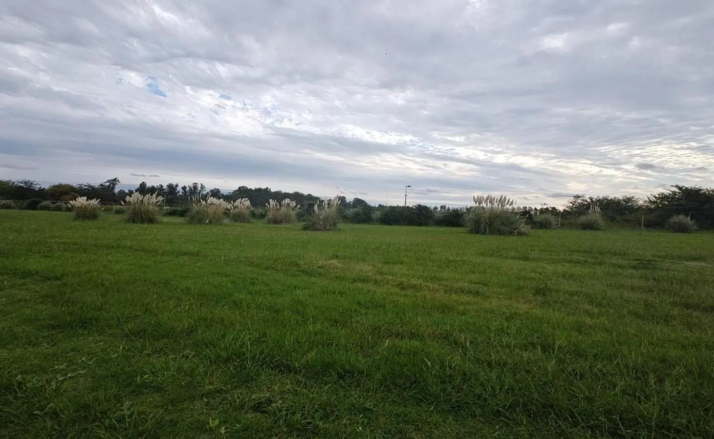Lote en Barrio Cerrado Los Juncos Lujan 4