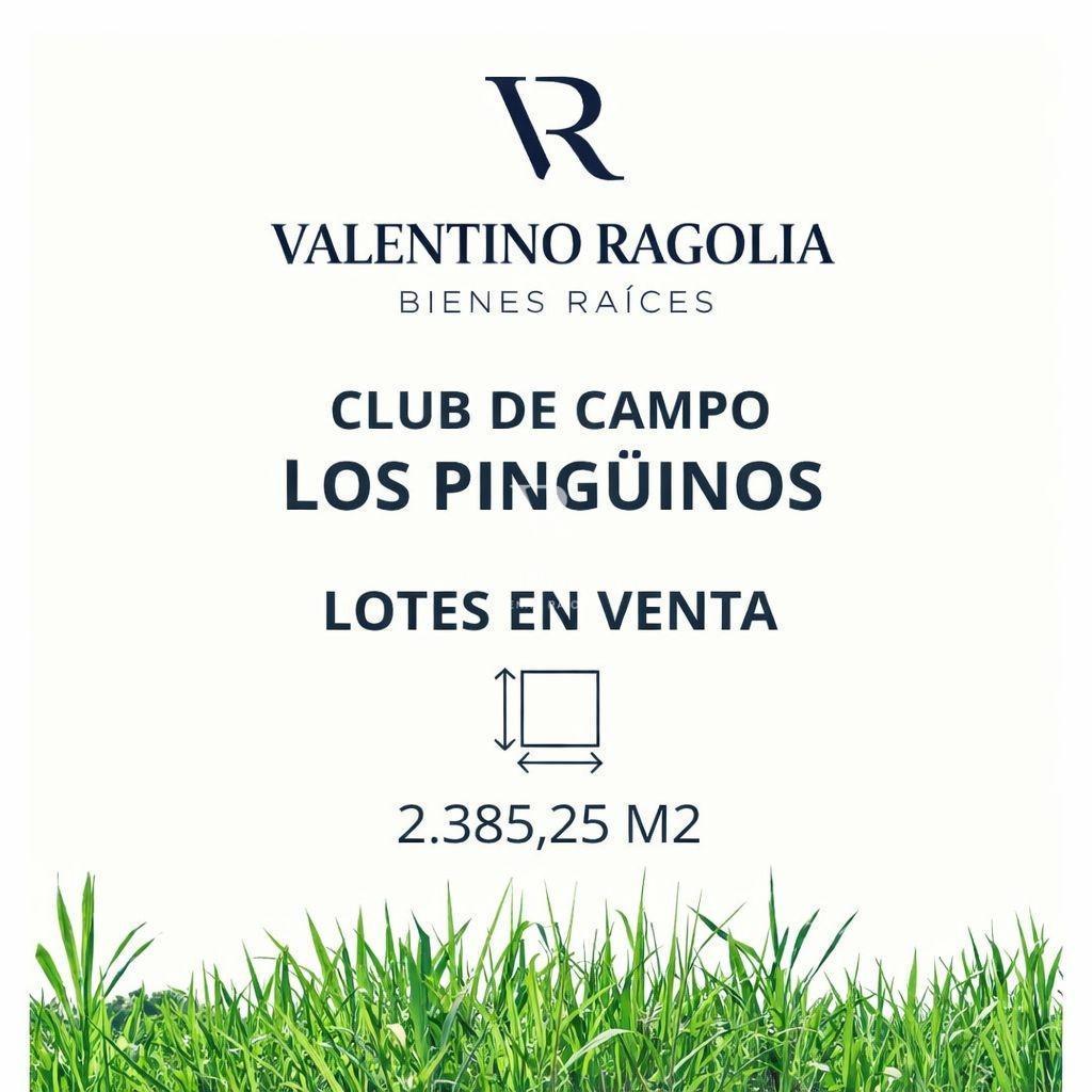 Venta lote en Club de campo Los Pinguinos