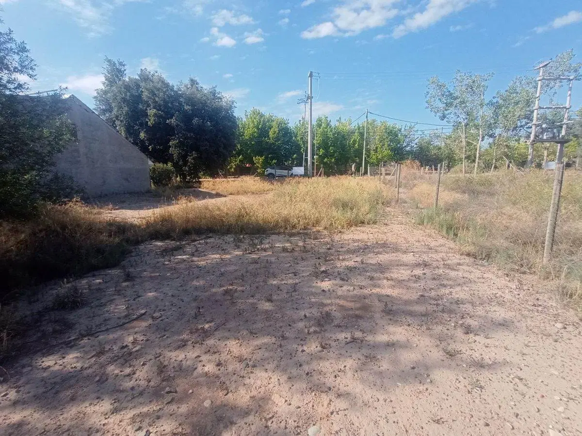 VENDE TERRENO EN CHACRAS DE CORIA LUJAN DE CUYO 3
