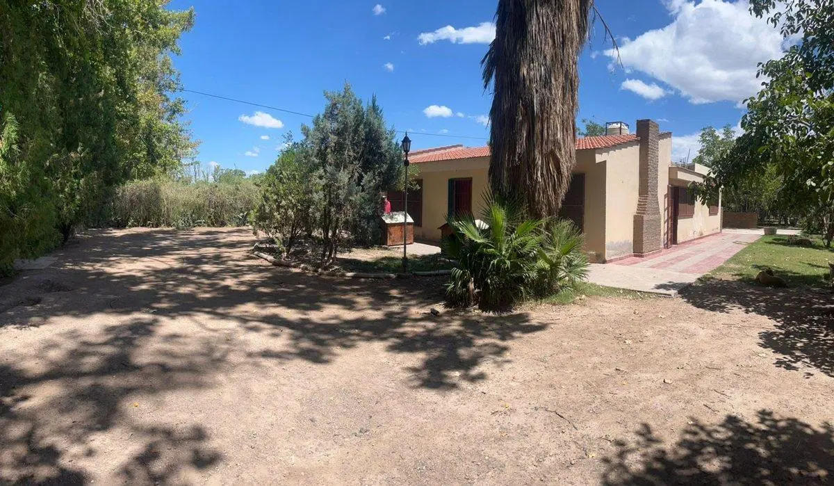 VENTA CASA-FINCA EL PLUMERILLO LAS HERAS MENDOZA 3