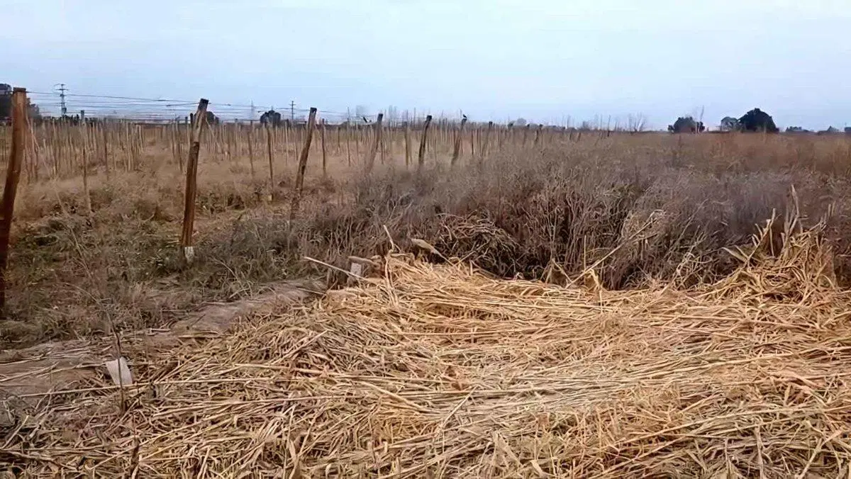 VENTA DE TERRENO SAN MARTIN MZA - IDEAL DESARROLLO 4