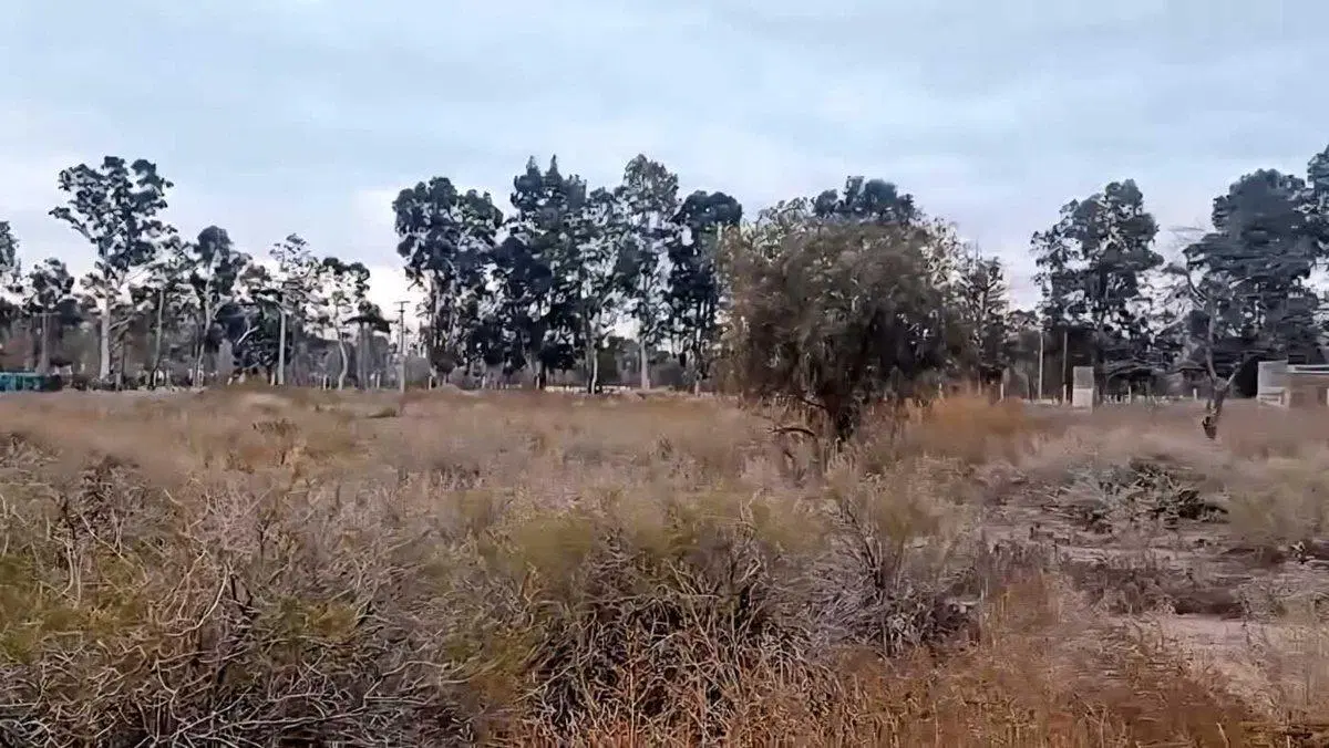 VENTA DE TERRENO SAN MARTIN MZA - IDEAL DESARROLLO 5