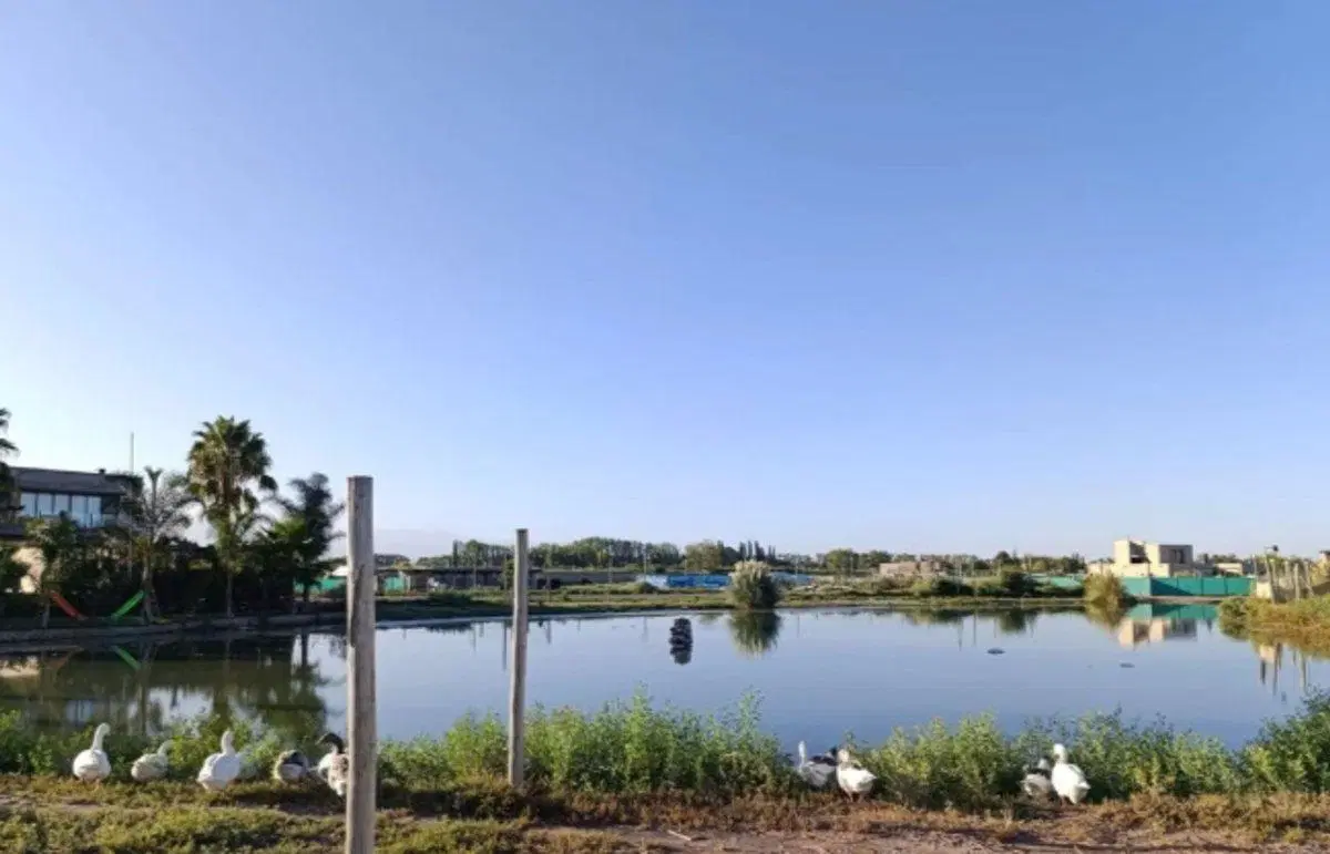 VENTA LOTE NAUTILUS, GUAYMALLEN 2
