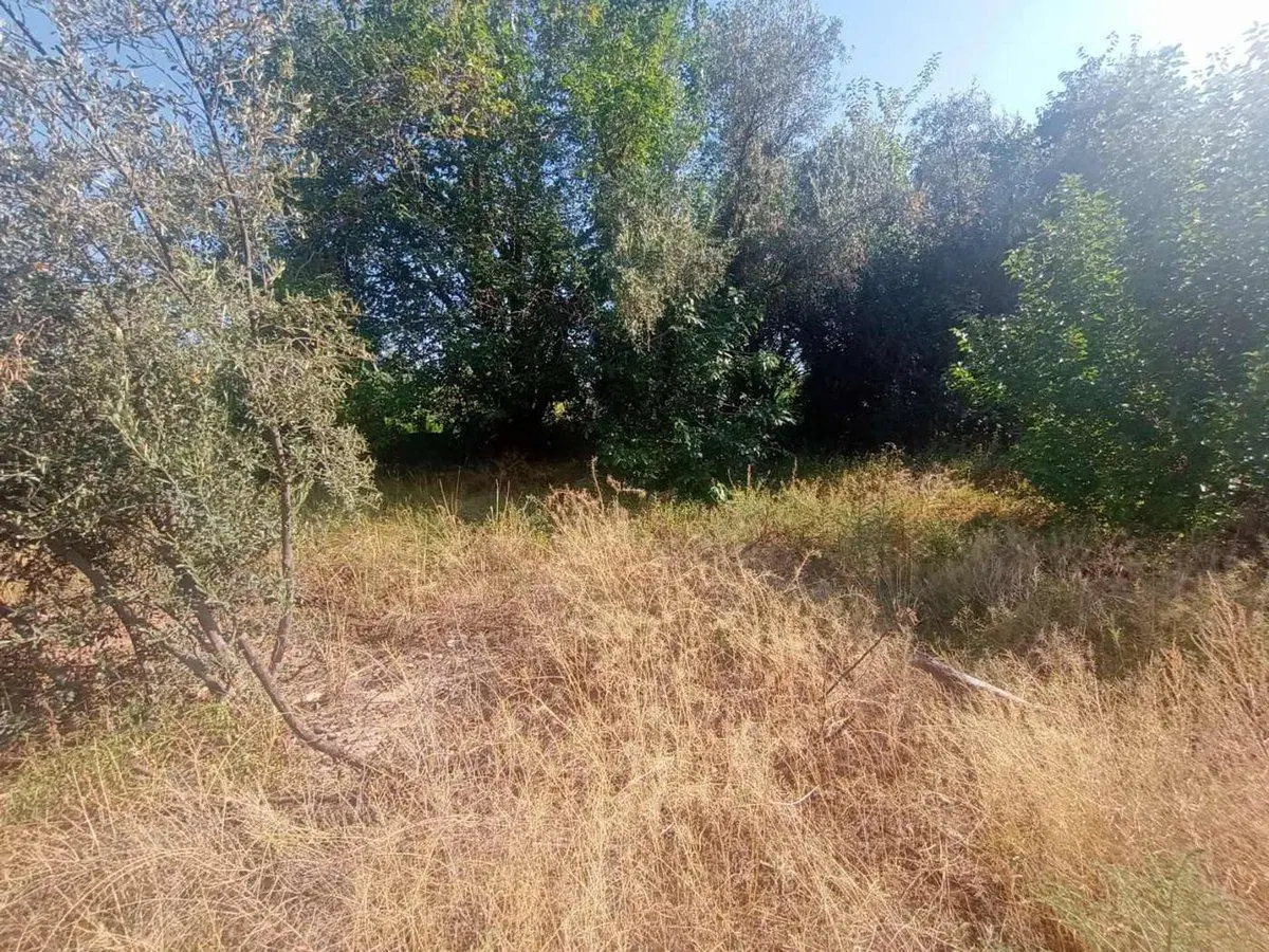 VENDE TERRENO EN CHACRAS DE CORIA LUJAN DE CUYO 2