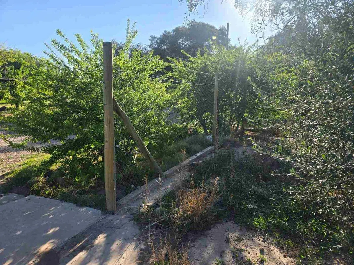 VENTA LOTE / TERRENO -COQUIMBITO - BODEGAS-TURISMO 3