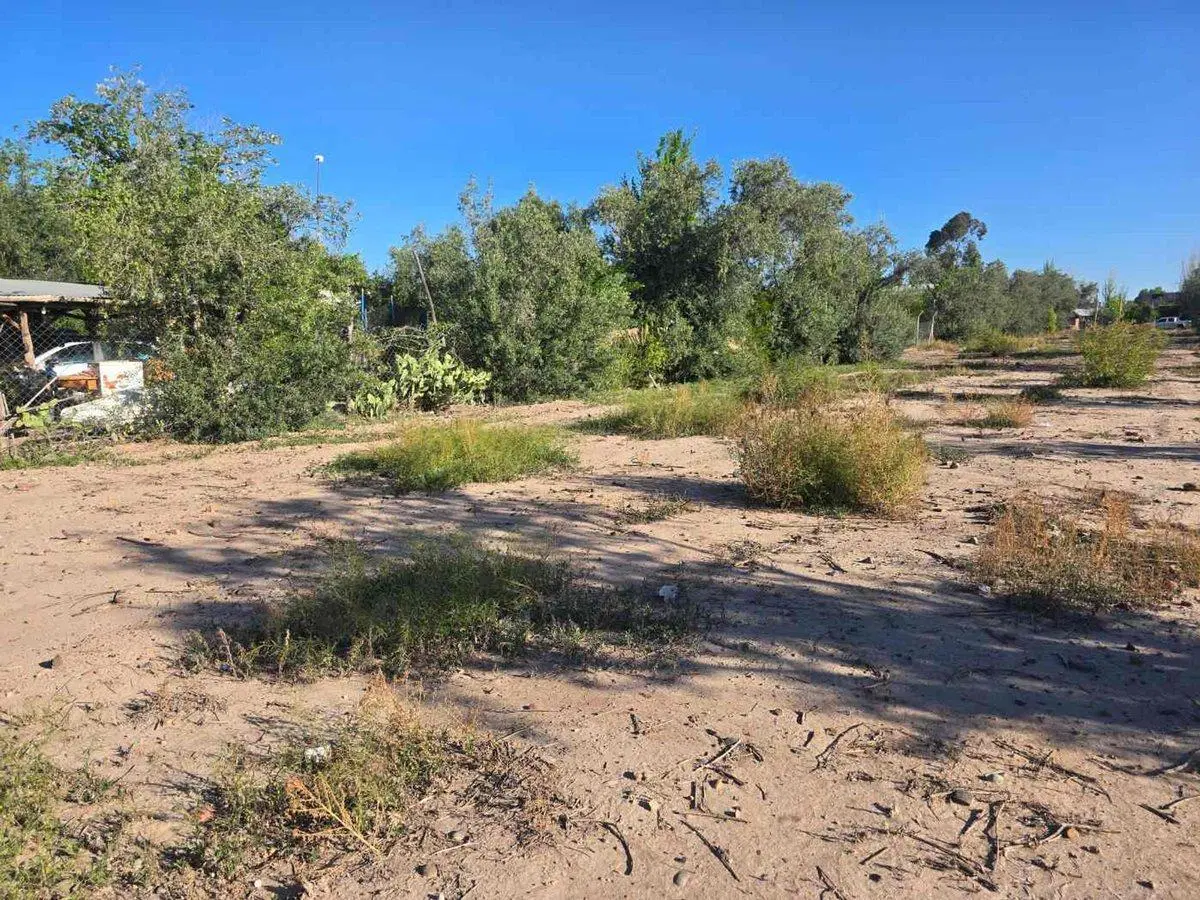 VENTA LOTE / TERRENO -COQUIMBITO - BODEGAS-TURISMO 2