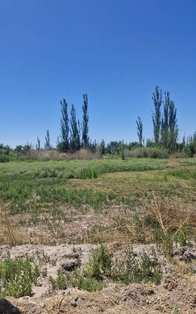 LOTE DE 1000M² EN VENTA EN RODEO DEL MEDIO/MAIPU 2