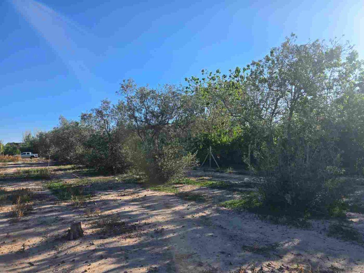 Foto de VENTA LOTE / TERRENO -COQUIMBITO - BODEGAS-TURISMO, imagen 4