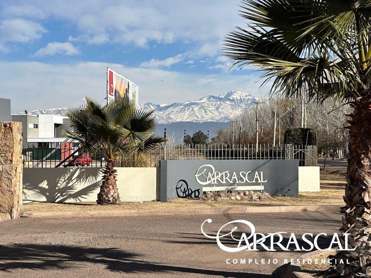 Foto de Lote premium 1020m2 en venta Carrascal B Privado, imagen 3