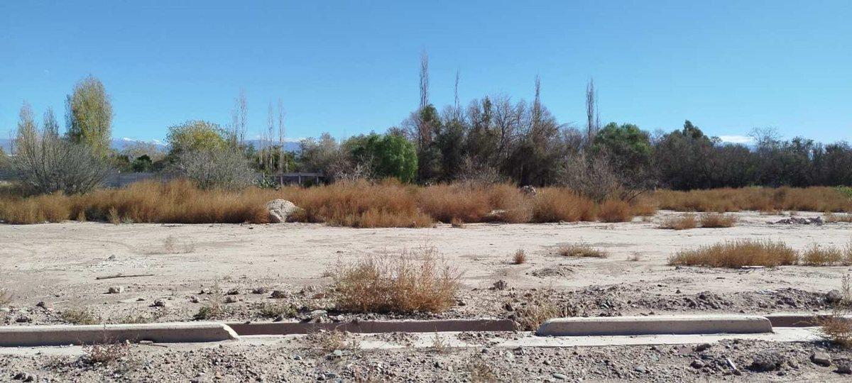 Foto de Lote 230m aprox Solares de Roca Guaymallén, imagen 3