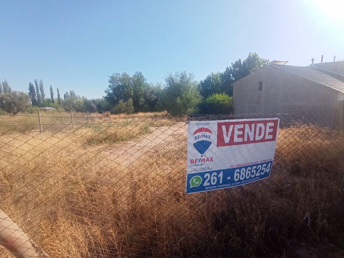 Foto de VENDE TERRENO EN CHACRAS DE CORIA LUJAN DE CUYO, imagen 5