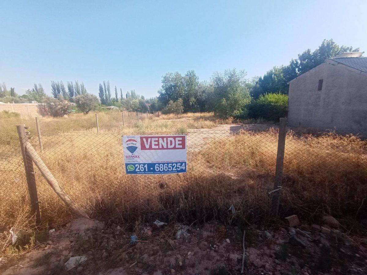 Foto de VENDE TERRENO EN CHACRAS DE CORIA LUJAN DE CUYO, imagen 2