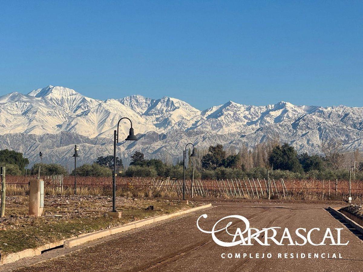 Foto de Lote premium 1020m2 en venta Carrascal B Privado, imagen 1