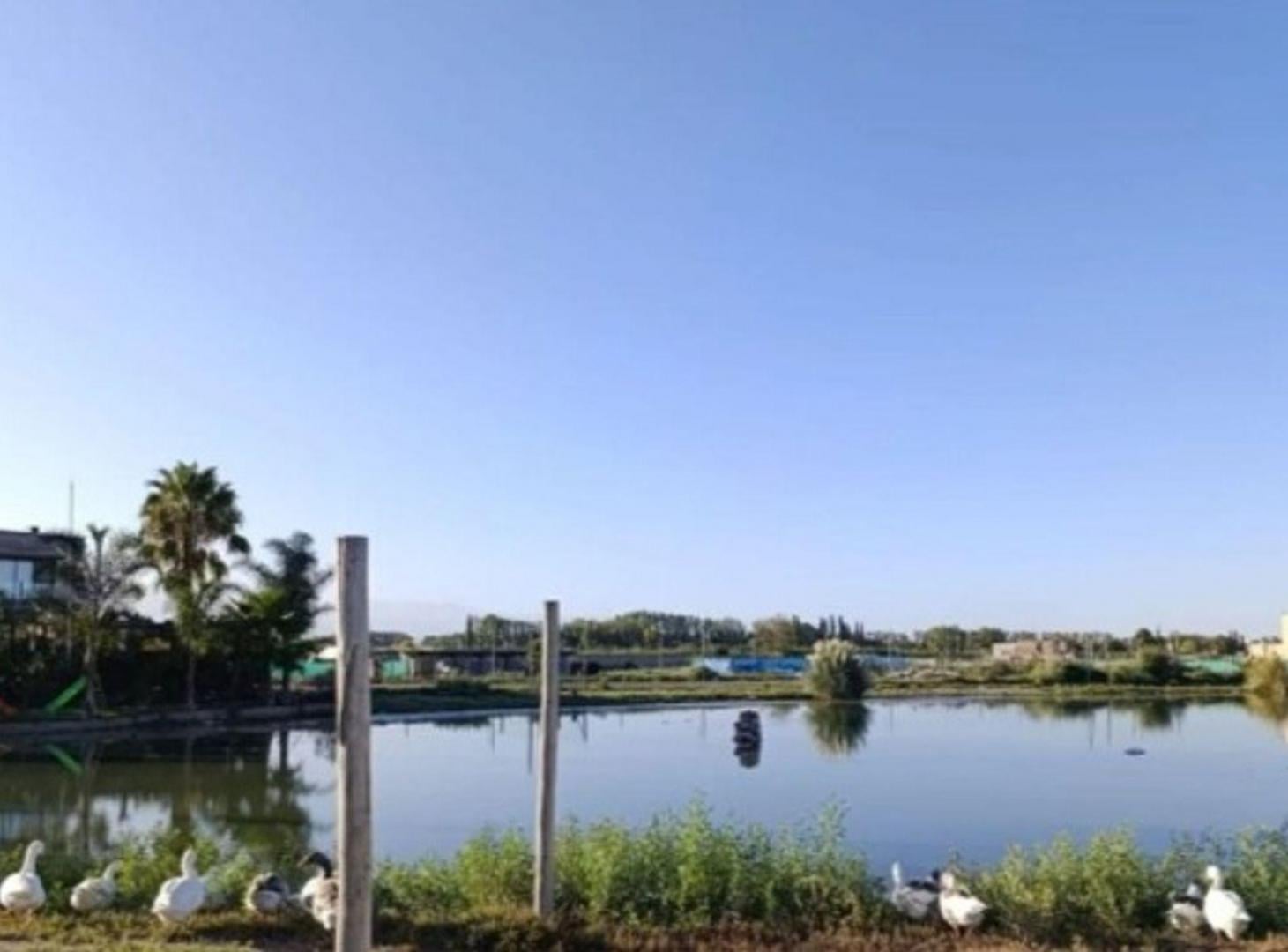 Foto de VENTA LOTE NAUTILUS, imagen 2