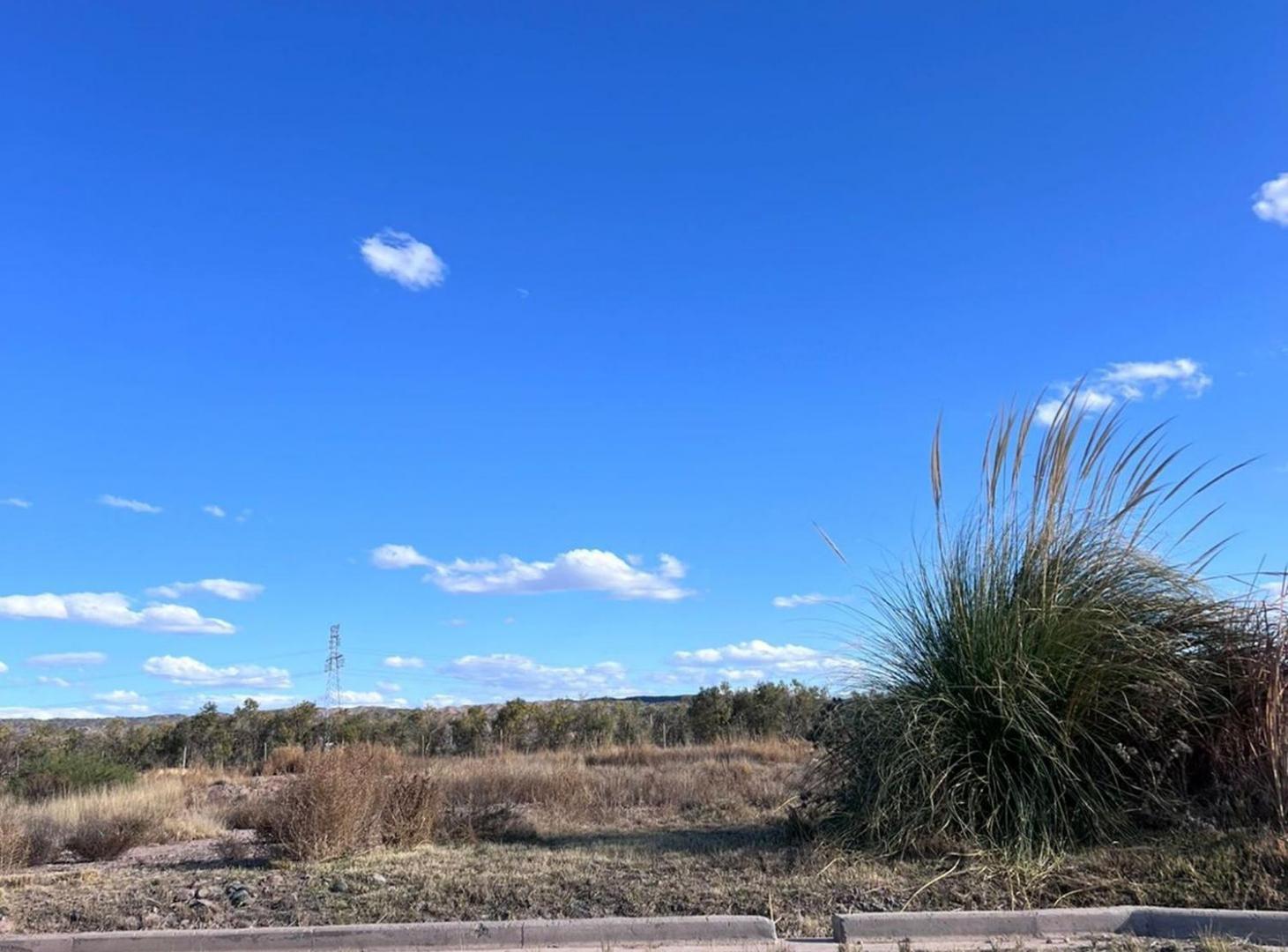 Foto de VENTA LOTE EN COMPLEJO CARRASCAL, imagen 2