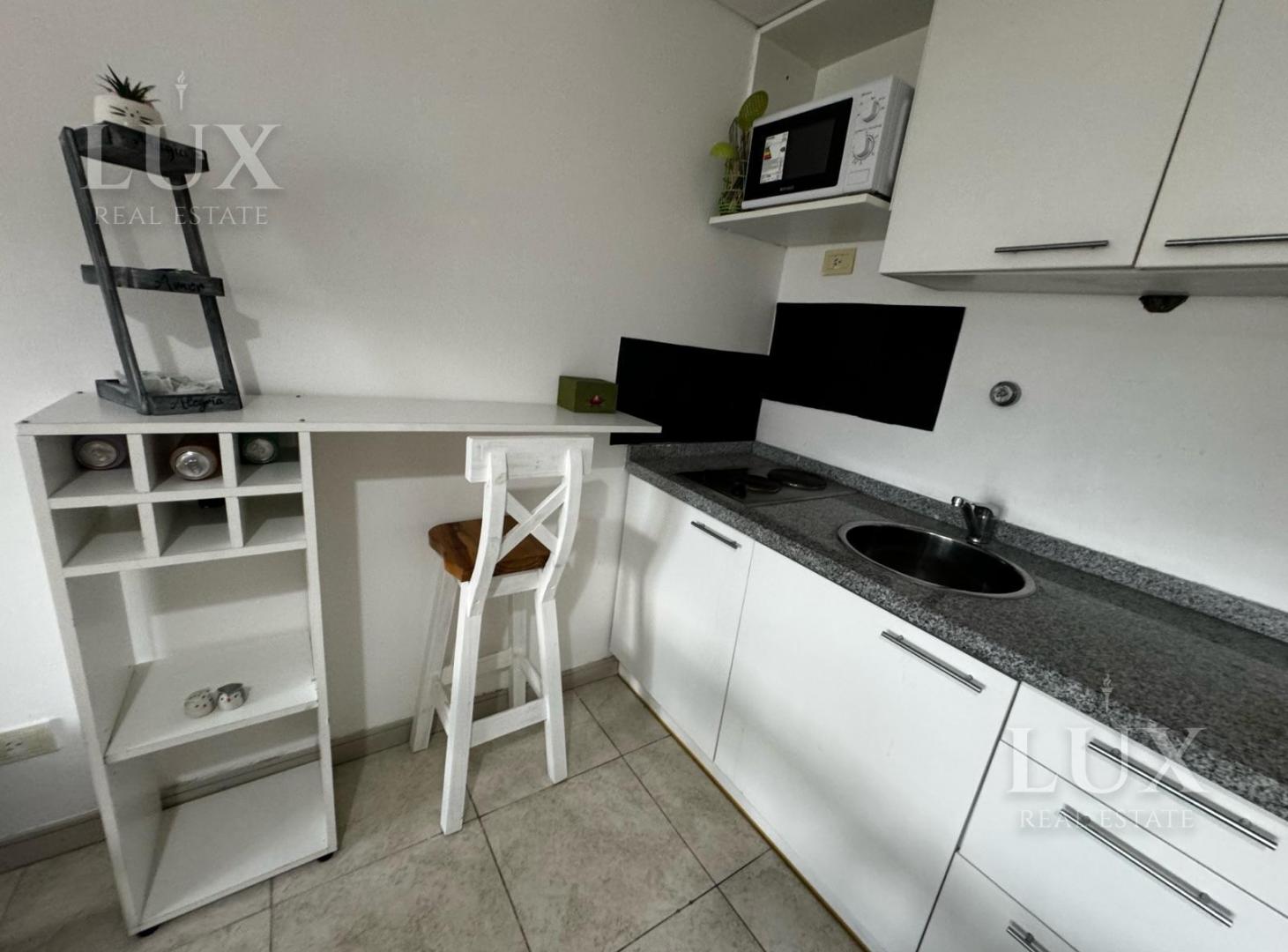 Foto de Departamento monoambiente en alquiler en Nordelta con terraza, parrilla, imagen 2