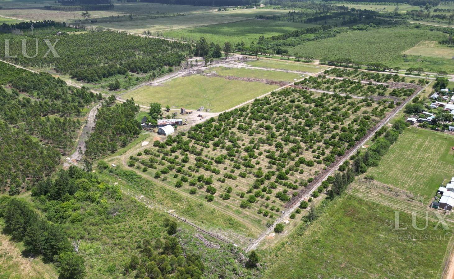 Foto de TERRENO EN VENTA EN CONCORDIA, ENTRE RIOS., imagen 4